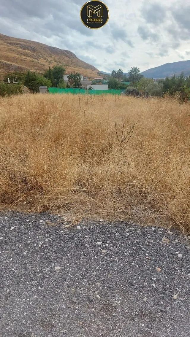 PARCELA EN PUENTE TABLAS - foto 4