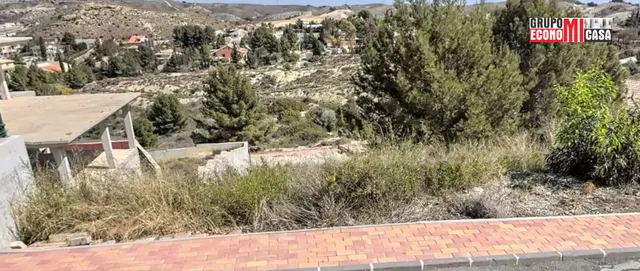 PARCELA DE TERRENO URBANO EN LA ALCAYNA (MOLINA DE SEGURA) — 4