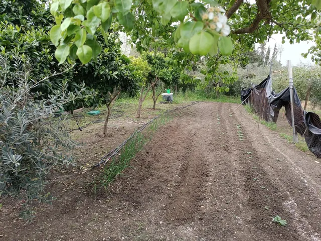 VENTA PARCELA CON CASA Y PISCINA. VILLAMARTIN - foto 4