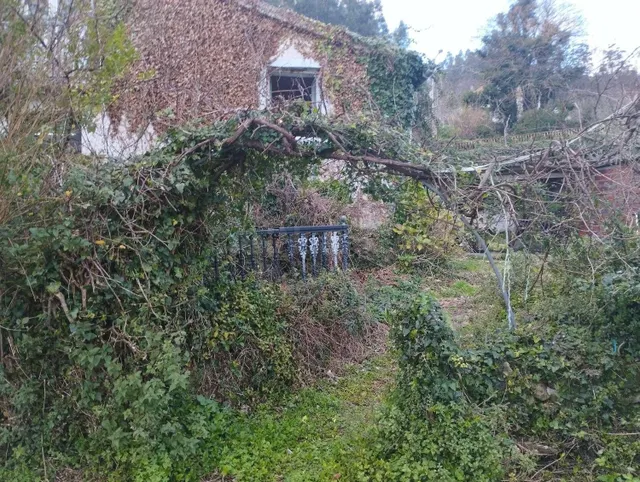 Casa adosada para rehabilitar en Cedeira - foto 5