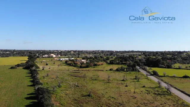 Terreno rústico con licencia cerca del pueblo de Ses Salines - foto 2