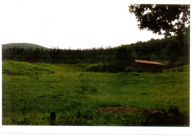 CABAÑA INDEPENDIENTE CON TERRENO EN RUENTE — 2
