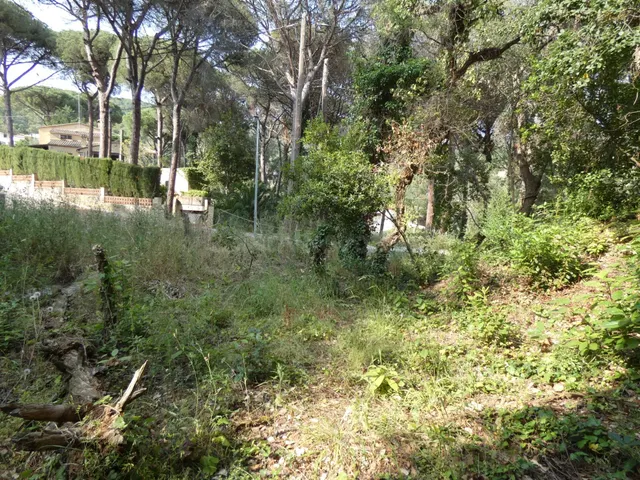 CALONGE: Parcela 626 m2 . MUY LLANA en Urb.Mas Pere, CON TOD - foto 3