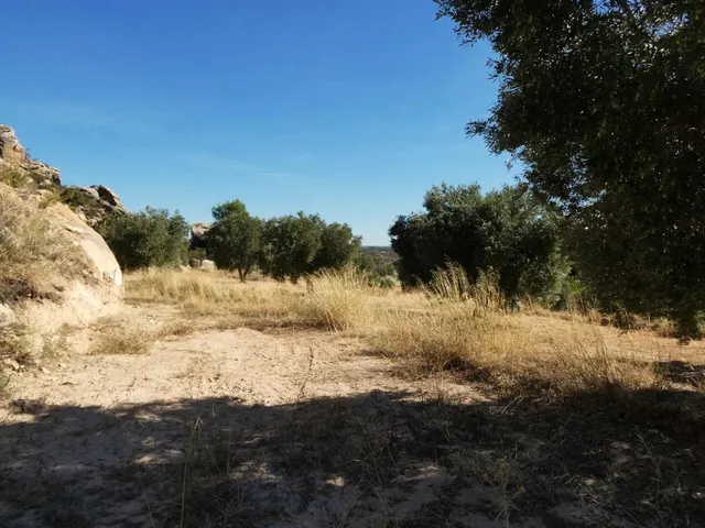 Suelo rústico en Venta en Maella Zaragoza — 28