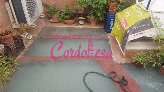CASA INDEPENDIENTE A 5 MINUTOS DEL AYUNTAMIENTO!!! — 26