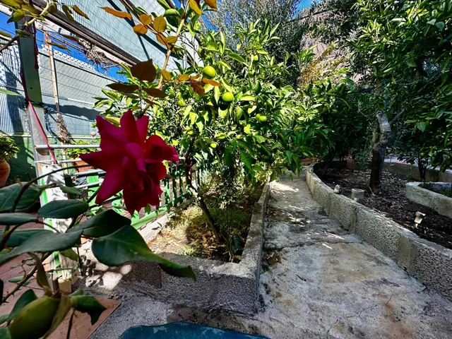 Casa ubicada en el Rincón bajo de Tejeda — 39