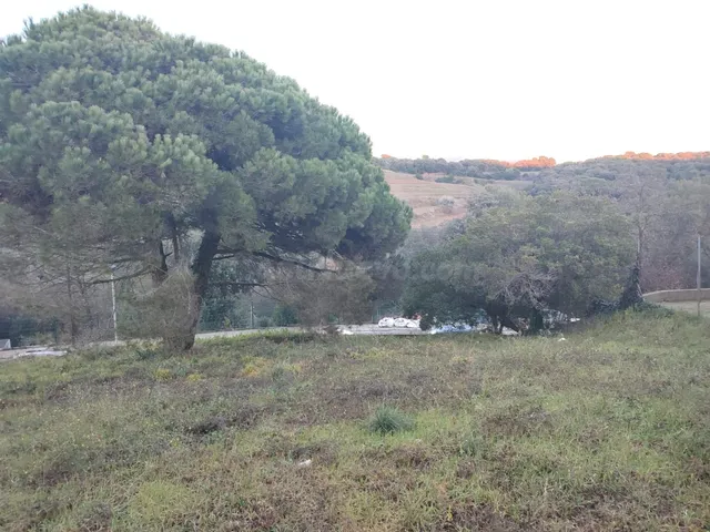 Parcel·la urbana de 903 m2 amb vistes panoràmiques a Llinars - foto 5