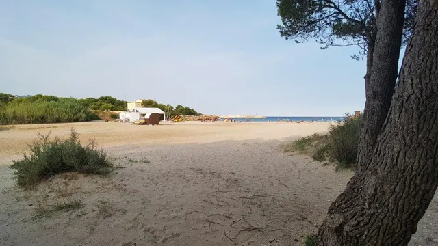 Finca rústica en venta - Afueras del pueblo — 15