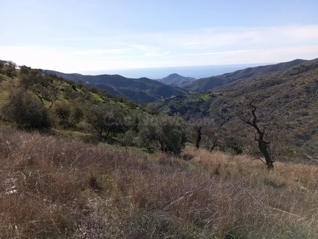 Terreno Rústico con Vistas Espectaculares en Totalán – Gran  - foto 2