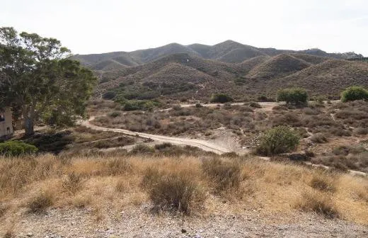 Terreno urbanizable en transformación en venta en carretera  - foto 4
