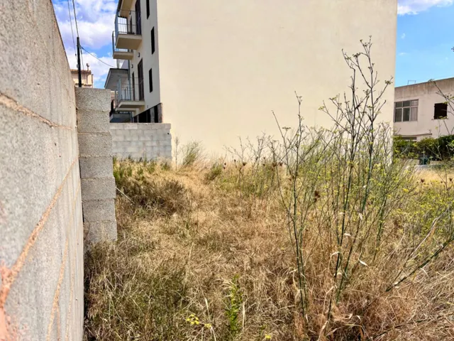 Solar en Campanet — 2