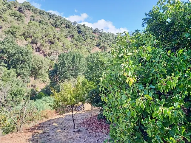 Casa de campo-Masía en Venta en Benastepal Málaga — 50
