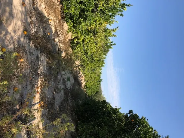 Finca rustica de 226 HECTAREAS .posibilidad montar placas fo
