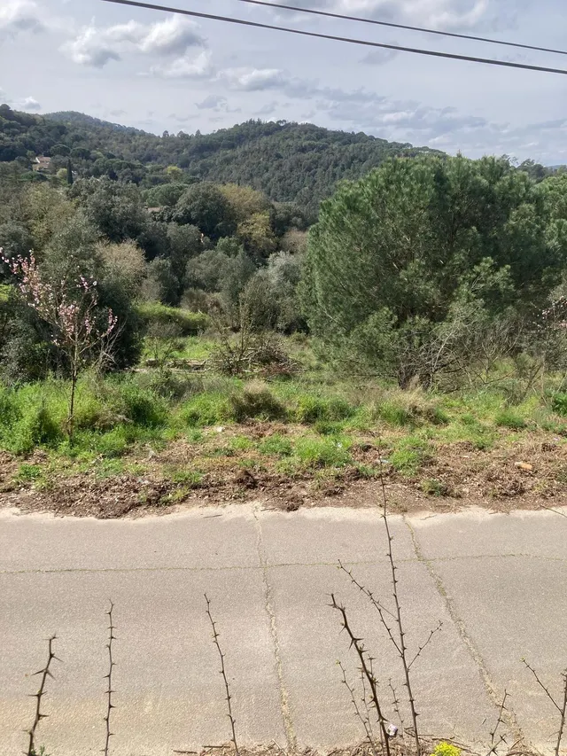 Parcela soleada en venta — 6