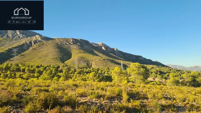 TERRENO RUSTICO EN ZONA LA NUCIA A 4 MINUTOS DE COLEGIO ELIANS,  FANTASTICAS VISTAS AL MAR Y MONTAÑA — 7