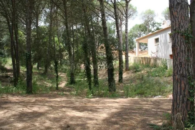 OPORTUNIDAD Parcela edificable en venta en mas Pere Calonge