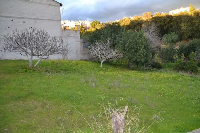 Solar urbanizable en Campanet — 6