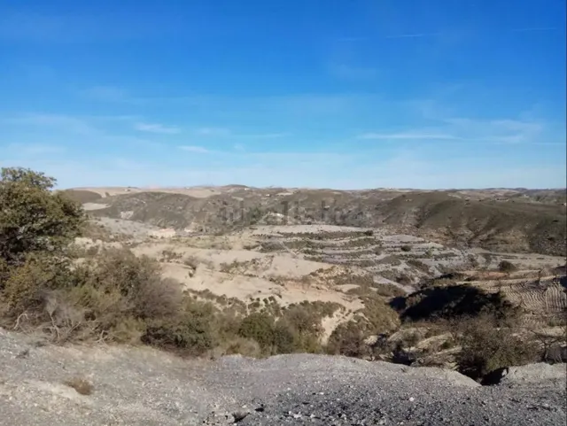 Terreno en venta en el cabezo de jara - foto 4