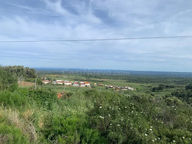 Paraje Carboneras, Casas de Millán - foto 5