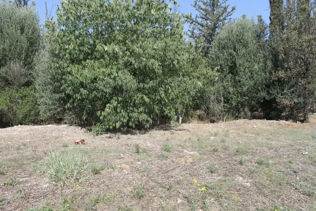 Terreno Industrial en Olesa de Montserrat en Venta o Alquiler — 10