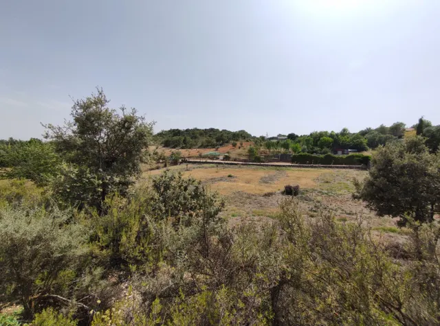 SE VENDE TERRENO URBANO EN URBANIZACIÓN FUENTE TAJUÑA DE LORANCA DE TAJUÑA (GUADALAJARA) — 38