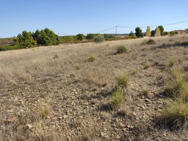 EXCELENTE PARCELA EN PARAJE LOS ESPETONES - DISPONE DE POZO — 5