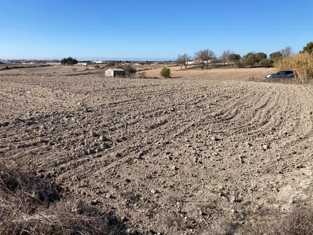 SE VENDE PARCELA SEGREGADA EN EL FONTANAR - foto 2