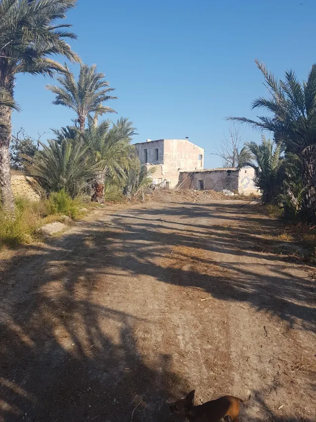 terreno para construir chalet — 18