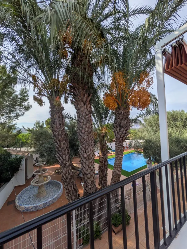 ESPECTACULAR FINCA CON CASA, PISCINA PRIVADA Y PLANTACIÓN DE LIMONEROS EN JACARILLA — 14