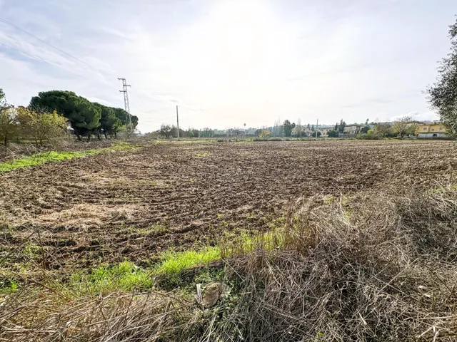 Terreno rústico proindiviso en Urbanización Los Lebratos