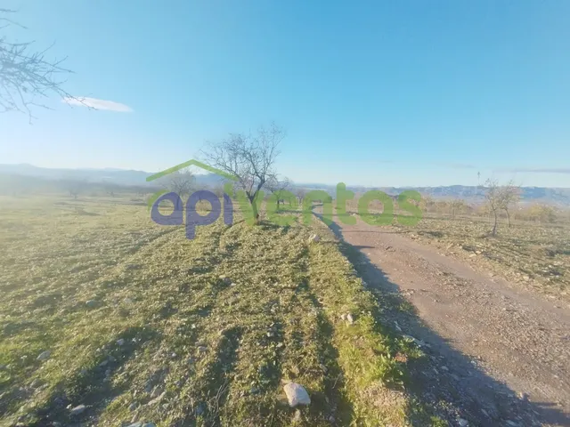 Casa de piedra con 61 hectáreas de terreno — 11