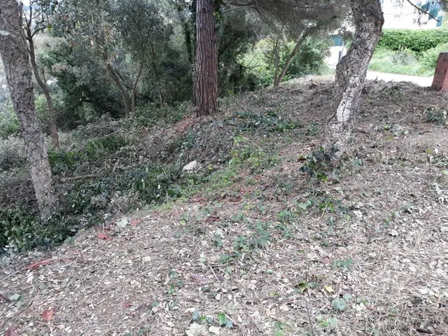 Terreno urbano de 1.194 m2 rodeado de zonas verdes en Lloret - foto 5