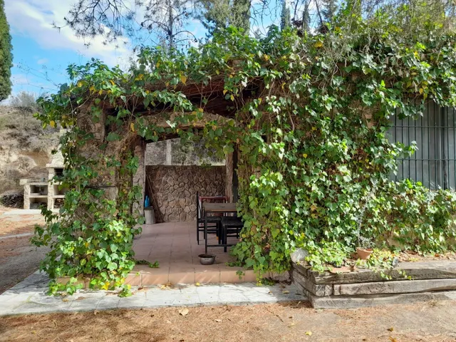 OPORTUNIDAD FINCA RUSTICA DE REGADIO CON CASA DE CAMPO EQUIPADA EN ASCO — 8