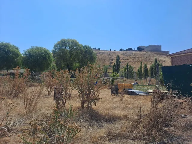 MONCASA VENDE TERRENO URBANO EN MONZON DE CAMPOS