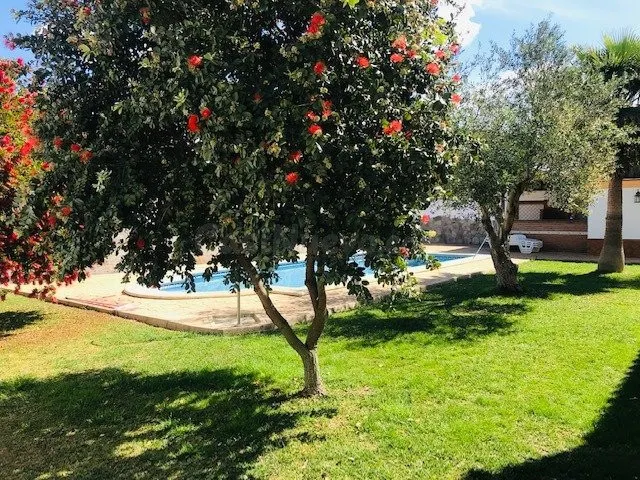 Villa Lotus - foto 4