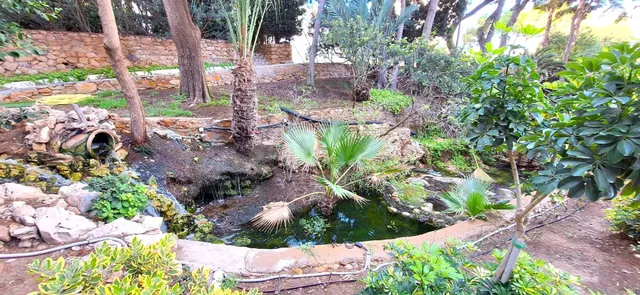 Apartamento reformado con piscina y parking comunitario — 37