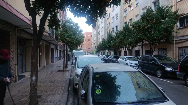 BAJO COMERCIAL EN ZONA DE GRAN EXPANSIÓN — 4