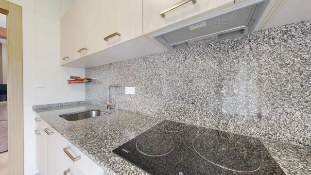 MAGNÍFICA CASA CON 51.000 METROS DE TERRENO EN PUTXETA — 48