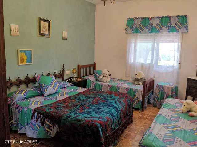 Finca rústica 4 habitaciones 230m² en venta - La Magdalena — 17