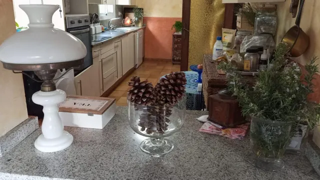 INCREIBLE CASA FAMILIAR CON SOLERA — 15