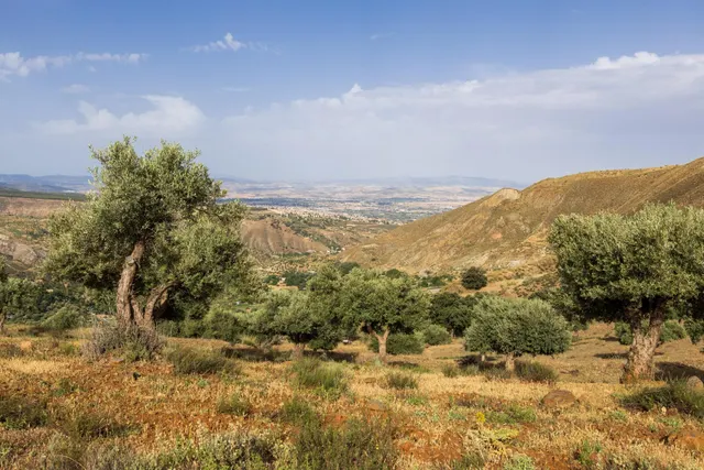 En Venta Maravilloso Paraje Natural, a medio camino entre Granada y Sierra Nevada, a veinte minutos en coche, desde cada una de ellas. — 17