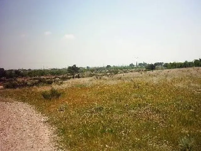 Terrenos en San Vicente del Raspeig.... — 3