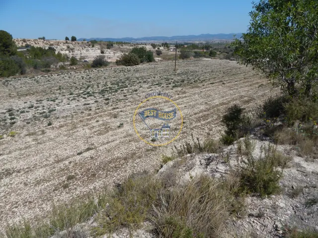 TERRENO EN PRODUCCIÓN CON PEQUEÑA CONSTRUCCIÓN EN PALOMAR(VALENCIA) — 10