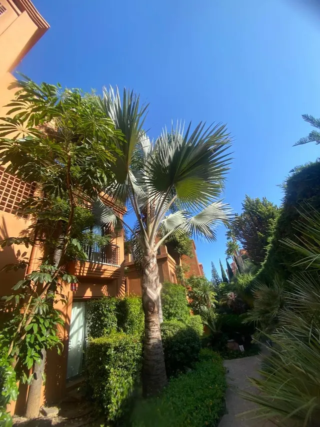Apartamento 2 habitaciones 99m² en venta - Costa Del Sol — 27
