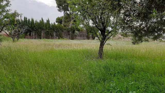 PARCELA RUSTICA EN EL REBOLLEDO — 5