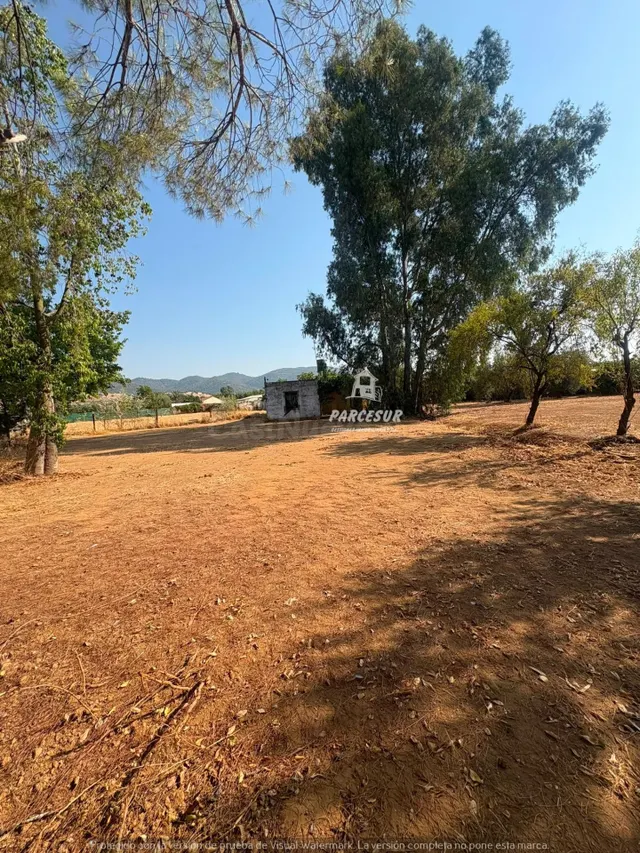 CTRA PALMA DEL RIO - Parcela con escrituras del terreno de 3 - foto 3