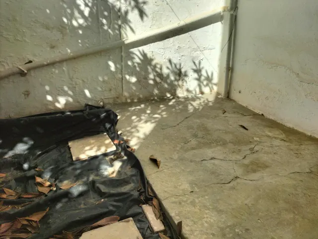 Planta baja con patio — 11