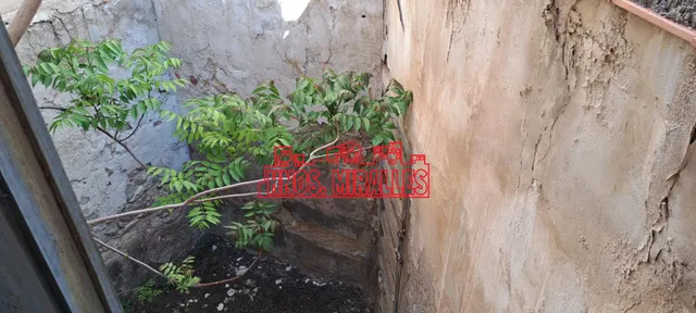 SE VENDE CASA SEÑORIAL EN CENTRO ASPE — 12