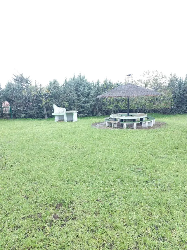 EXCLUSICA CASA EN ALDEA DEL CANO CON 8000 METROS DE PARCELA — 28