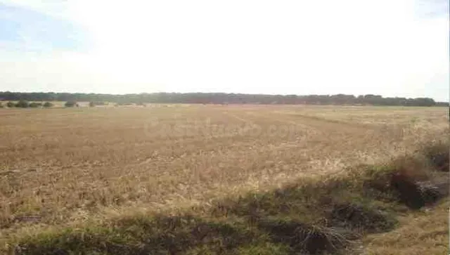 VENTA DE SUELO RUSTICO EN LA ZARZA - foto 2